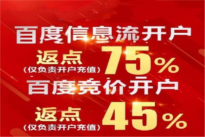 百度SEM推广策略：成功案例解析